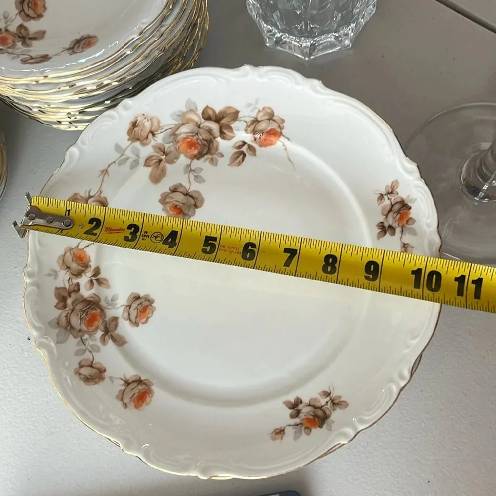 Vintage Bundle of 8 pcs Dinner plates Norway Rose by MITTERTEICH